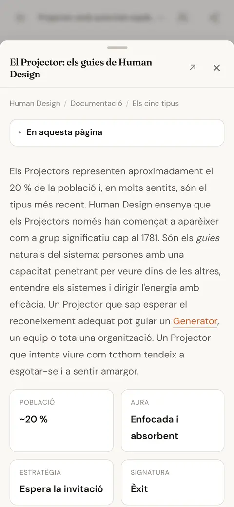 Un article de la base de coneixement sobre el tipus Projector, obert sobre la resposta del xat que hi ha enllaçat