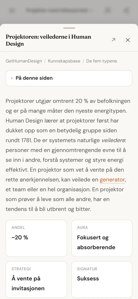 En kunnskapsbaseartikkel om projektortypen, åpnet over chatsvaret som lenket til den