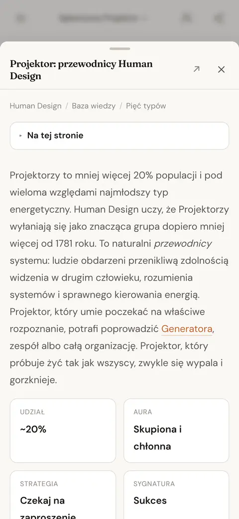 Artykuł z bazy wiedzy o typie Projektor, otwarty nad odpowiedzią na czacie, która do niego prowadziła