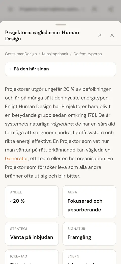 En artikel i kunskapsbanken om typen Projektor, öppen ovanpå chattsvaret som länkar till den