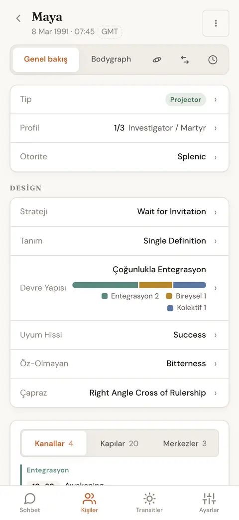 Bir kişinin harita özeti: tip, profil, otorite, strateji, tanım ve enkarnasyon çaprazı