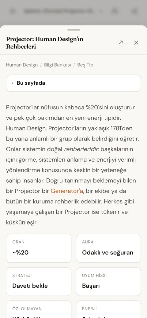 Projektör tipi hakkında bir bilgi bankası makalesi; ona bağlantı veren sohbet yanıtının üzerinde açık